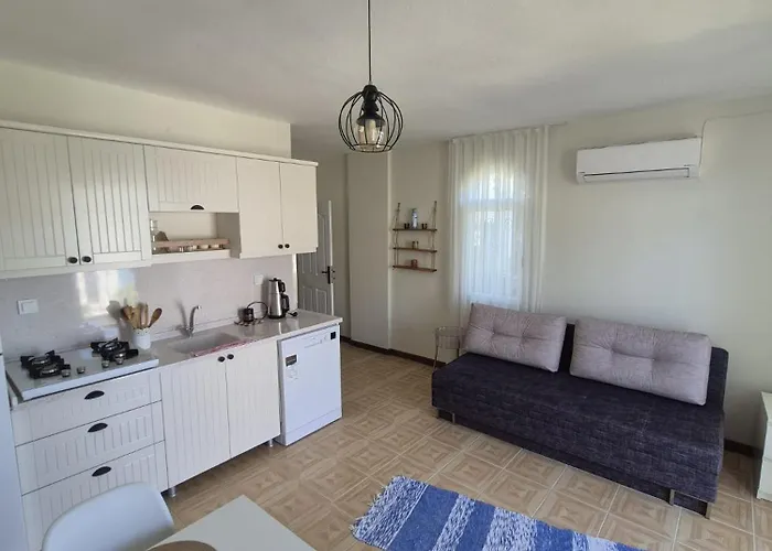 Datcha Cozyhomes Merkez Датча